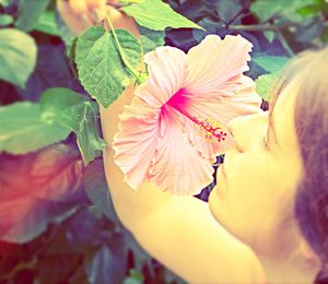 Close-up of pink flower