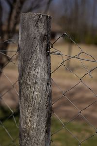 Close-up of barbed wire fence