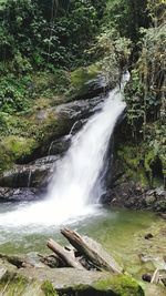 Scenic view of waterfall in forest