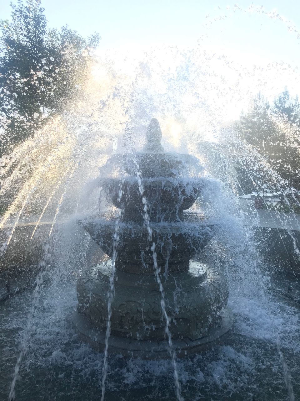 REAR VIEW OF PEOPLE SPLASHING WATER IN PARK