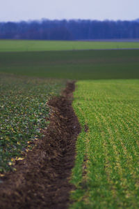 Scenic view of farm against sky