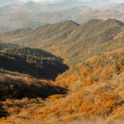 High angle view of landscape during autumn
