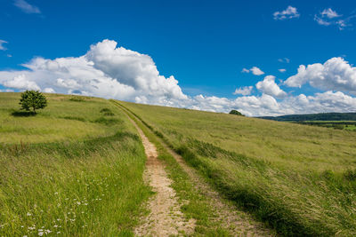 Footpath amidst grassy field against cloudy sky