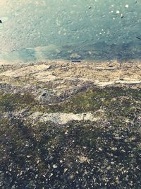 High angle view of land