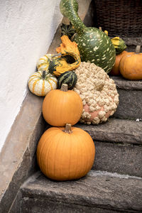 Pumpkins on wood during autumn