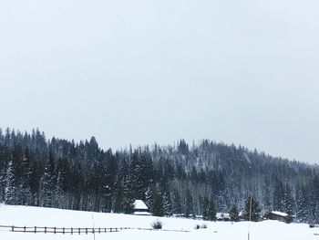 Trees on snow covered landscape against clear sky