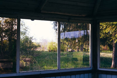 Trees and buildings seen through window of abandoned house