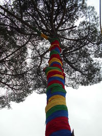 Low angle view of trees against sky