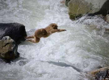 Water splashing on rocks