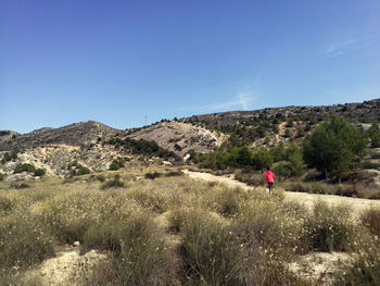 Scenic view of field against clear blue sky