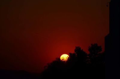 Silhouette of trees at sunset