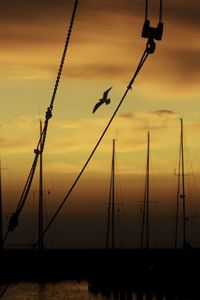 Silhouette sailboats on sea against sky during sunset