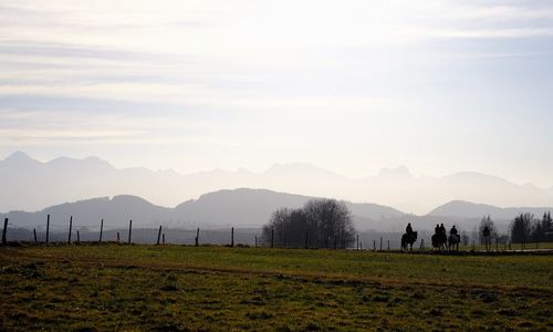 Scenic view of field against sky during sunset