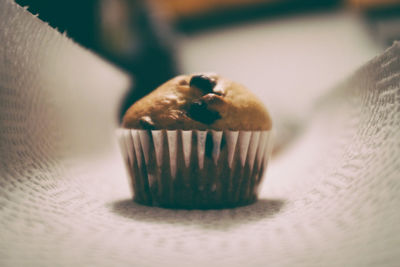 Close-up of cupcake on tissue