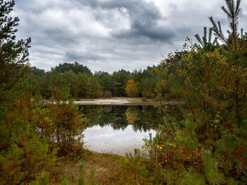 Reflection of trees in lake against sky