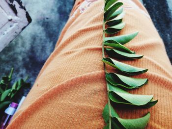 Close-up of leaves