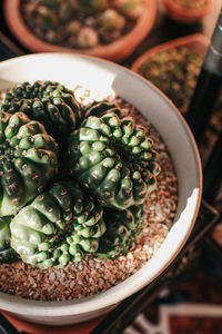 Close-up of food in bowl