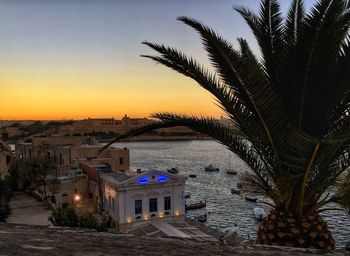 Palm trees against sky during sunset