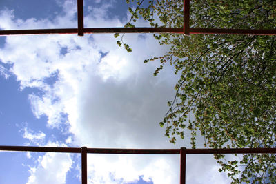 Low angle view of tree against sky