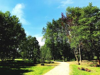 Road amidst trees in park against sky