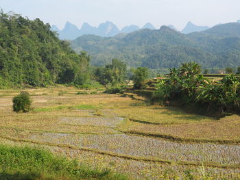 Scenic view of field against mountains