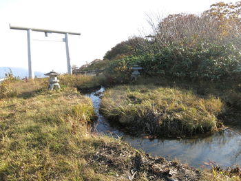 Scenic view of river against clear sky