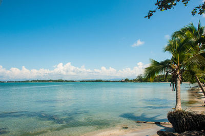 Scenic view of sea against blue sky