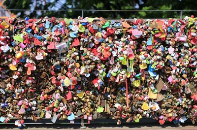 High angle view of multi colored flowers on street