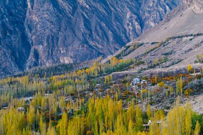 Scenic view of mountains