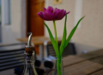 Close-up of flower in vase on table