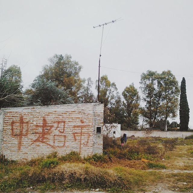 clear sky, built structure, architecture, building exterior, tree, abandoned, grass, field, obsolete, house, old, copy space, damaged, day, run-down, no people, sky, outdoors, communication, text