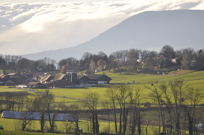 Scenic view of field by trees and houses against sky