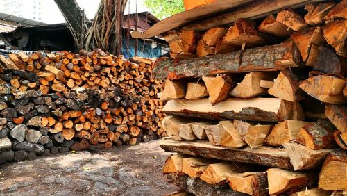 Stack of logs