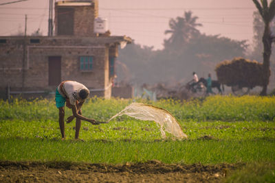 Farmer throwing water on crops in farm