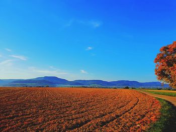 Scenic view of field against blue sky