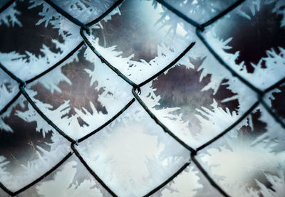 Close-up of snow on glass window