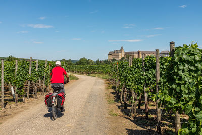 Rear view of man riding motorcycle on road against sky