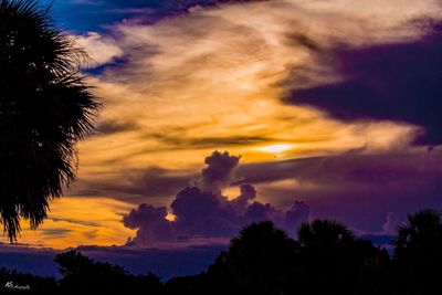 Low angle view of silhouette trees against dramatic sky