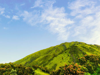 View of  merbabu with a combination of the blue sky and the green of the savanna during the day