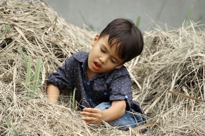 Cute boy looking sitting in dried grass