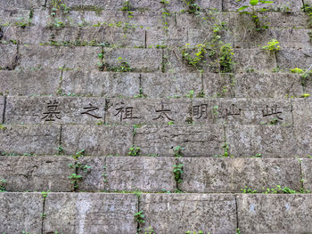 Full frame shot of weathered wall