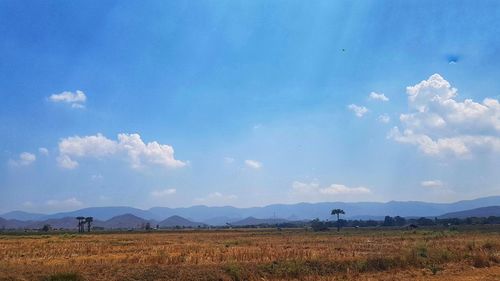 Scenic view of field against blue sky