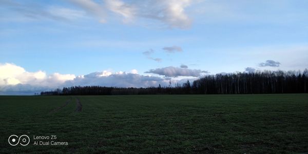 Scenic view of field against sky