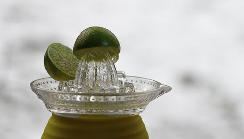 Close-up of lemon slices on squeezer against sky