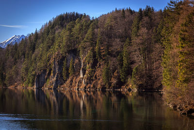 Scenic view of lake by trees against sky