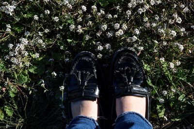 Low section of person standing on grassy field