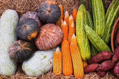 High angle view of pumpkins in market