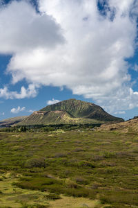 View inside the crater of the extinct volcano called koko head on oahu in hawaii