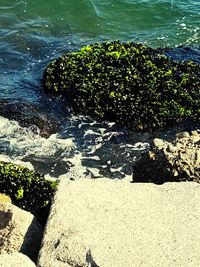 High angle view of sea shore