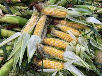 High angle view of vegetables for sale in market